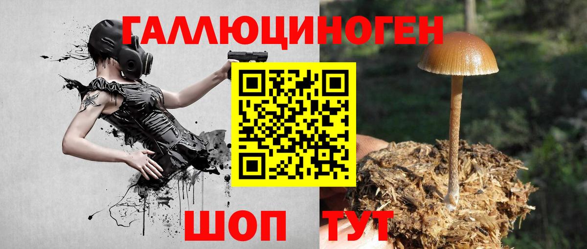 Псилоцибиновые грибы Magic Shrooms Нововоронеж